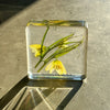 Thunberg Fritillary Bulb | Conscious Craft
